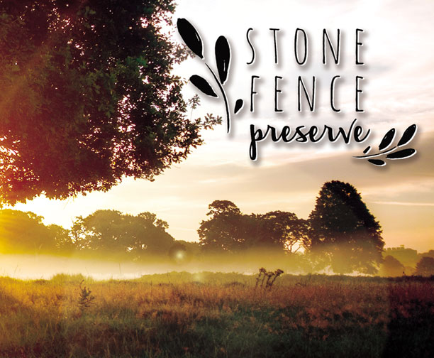Landmark Real Estate - Stone Fence Preserve