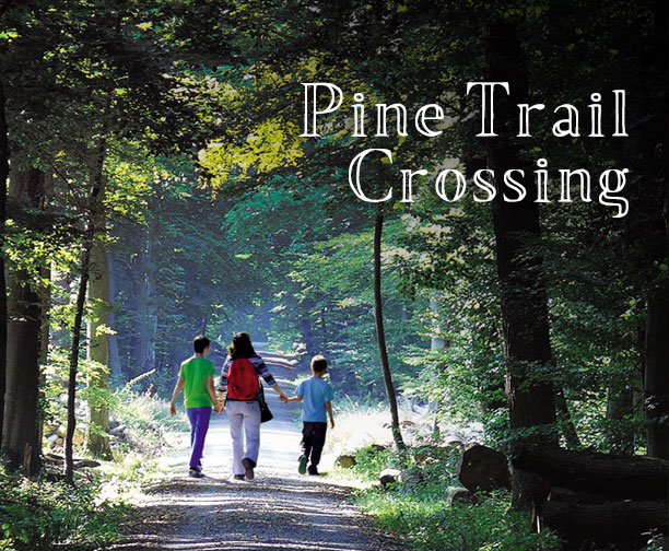 Landmark Real Estate - Pine Trail Crossing