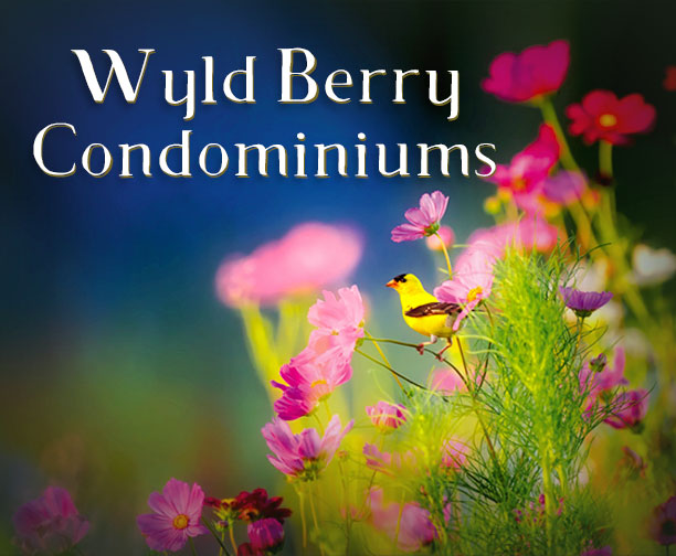 Wyld Berry Condominiums